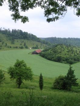 alte neckarschleife