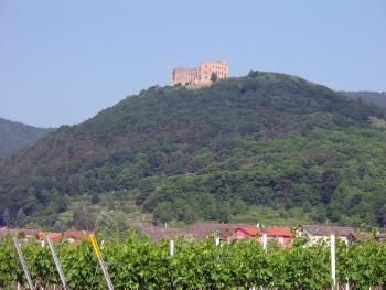 hambacher schloss